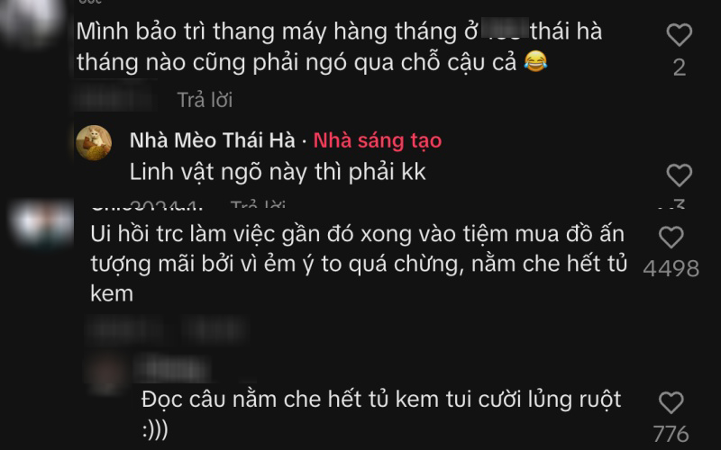 "Cậu cả" tiệm tạp h&oacute;a Th&aacute;i H&agrave;: Ch&uacute; m&egrave;o cam 12kg phủ s&oacute;ng MXH, danh tiếng c&ograve;n lan sang cả xứ sở Ch&ugrave;a V&agrave;ng- Ảnh 15.