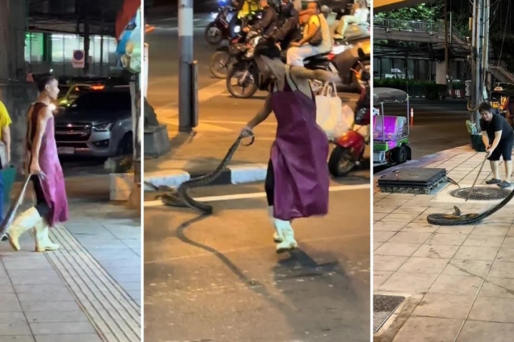Người đàn ông trổ tài bắt rắn khổng lồ bằng tay không và cái kết bất ngờ- Ảnh 1. Người đàn ông trổ tài bắt rắn khổng lồ bằng tay không và cái kết bất ngờ- Ảnh 1.