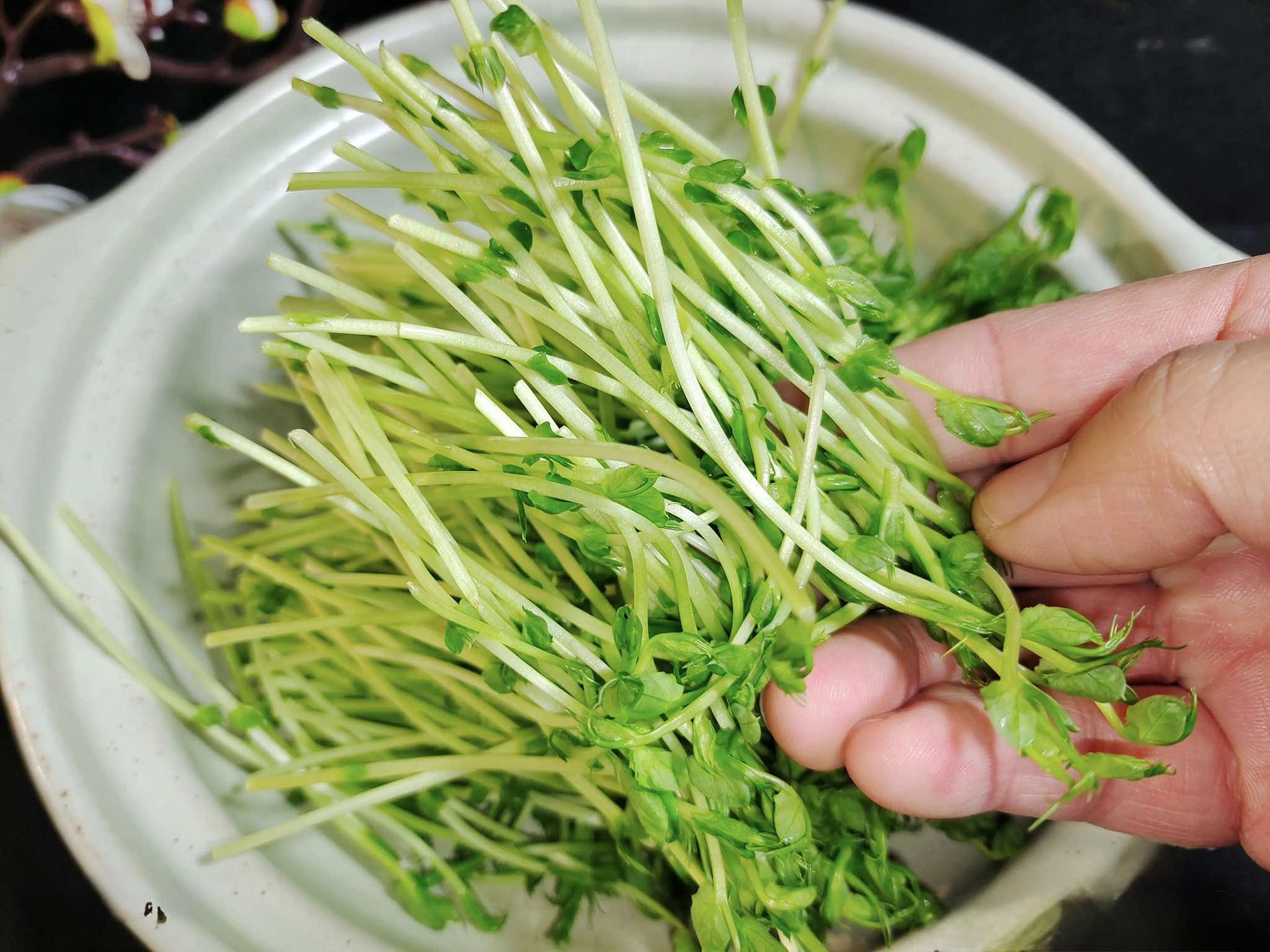 Món ăn này làm siêu nhanh chỉ khoảng 15 phút mà tươi ngon, giòn, bùi thơm lại giúp nuôi dưỡng gan cực tốt- Ảnh 1.