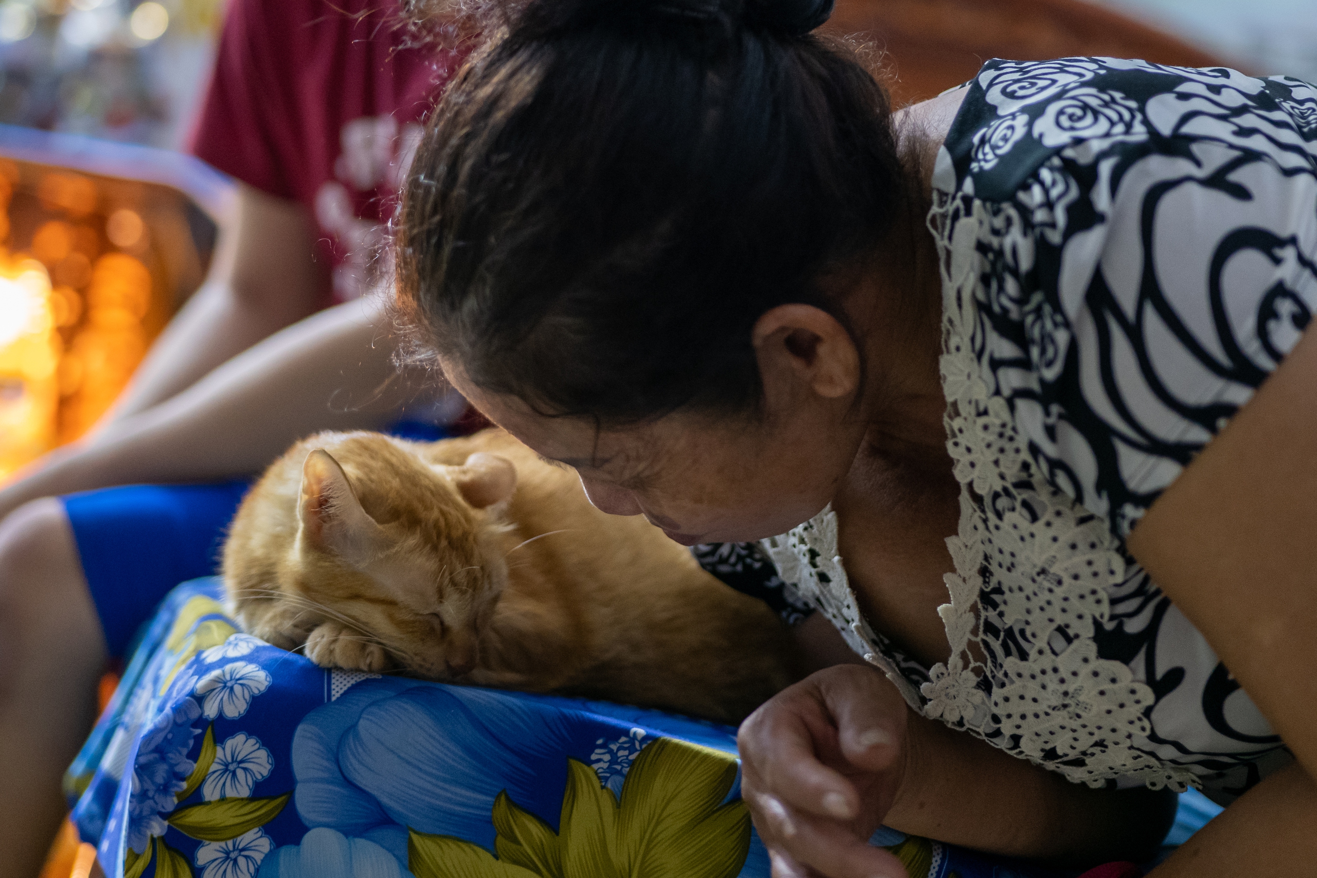 Nuôi đứa con bại não của cô gái quán bia suốt 25 năm, bà bán vé số đau đáu: "Phương ơi, con có còn sống không?"- Ảnh 7.