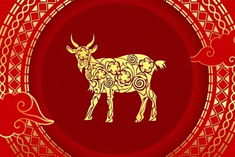 Top 4 con gi&aacute;p 