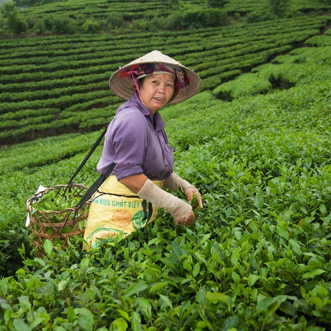 Có một Việt Nam “được lòng thế giới” đến vậy: Hội An, Côn Đảo lên bảng vàng hiếu khách 2025- Ảnh 14.