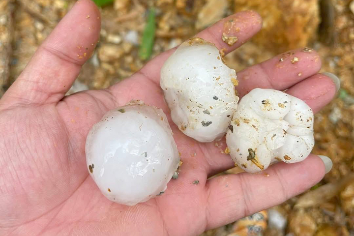 Mưa đá to bằng quả trứng ào ào trút xuống Hà Giang- Ảnh 3.