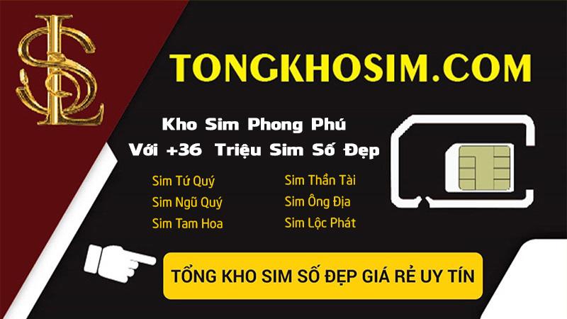 Tổng Kho Sim &ndash; Thương hiệu sim số đẹp h&agrave;ng đầu Việt Nam- Ảnh 1.