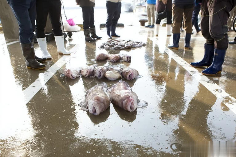 Ra chợ gặp 5 loại cá này, tươi ngon, rẻ mấy cũng đừng mua- Ảnh 2. Ra chợ gặp 5 loại cá này, tươi ngon, rẻ mấy cũng đừng mua- Ảnh 2.