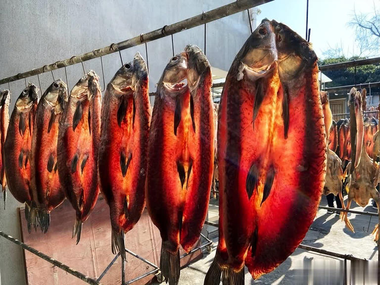 Ra chợ gặp 5 loại cá này, tươi ngon, rẻ mấy cũng đừng mua- Ảnh 3. Ra chợ gặp 5 loại cá này, tươi ngon, rẻ mấy cũng đừng mua- Ảnh 3.