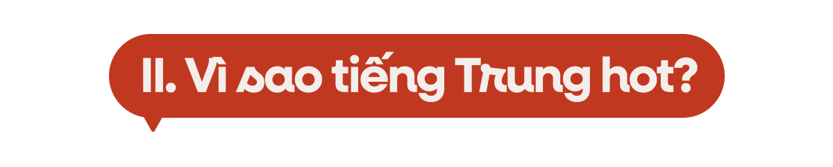 Tiếng Trung đang HOT hơn bao giờ hết: Vì sao nhiều người trẻ đổ xô đi học ngôn ngữ này đến thế?- Ảnh 11.
