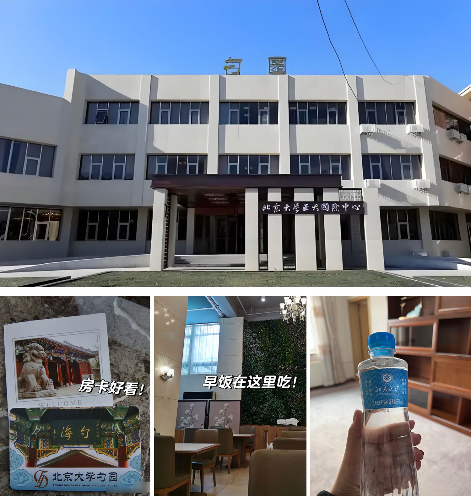 Giới trẻ đổ xô đến khách sạn và quán bar để học- Ảnh 2.