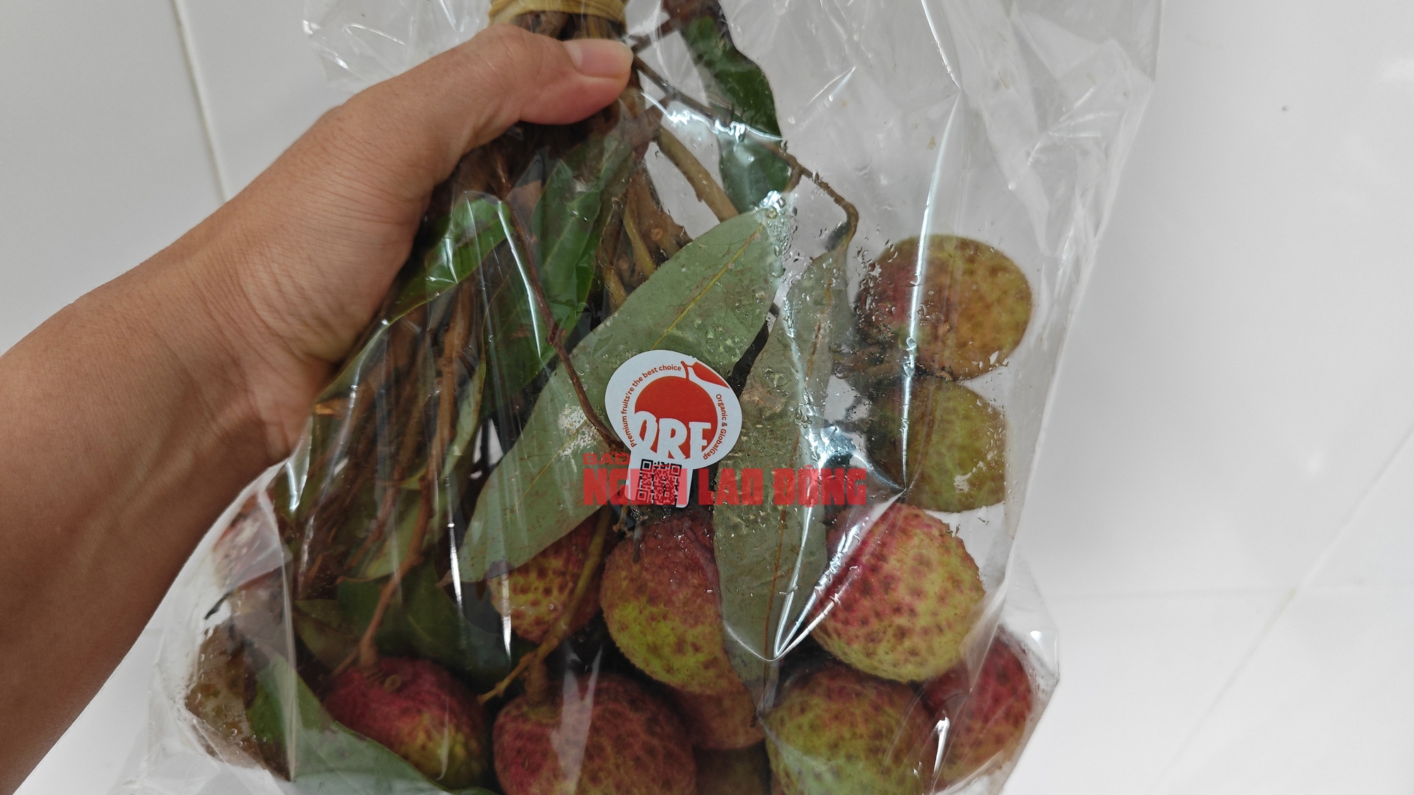 Vải Tây Nguyên đầu mùa giá cao đến khó tin- Ảnh 2.