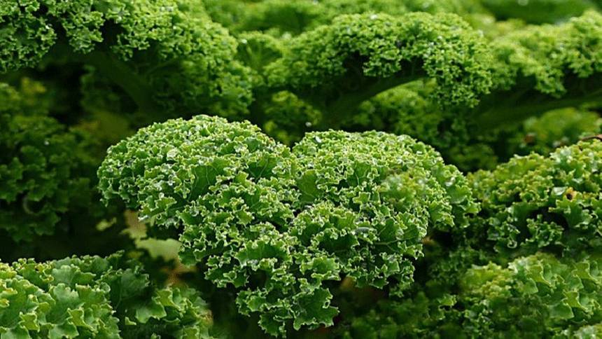 3 thói quen xấu khiến bạn già nhanh 