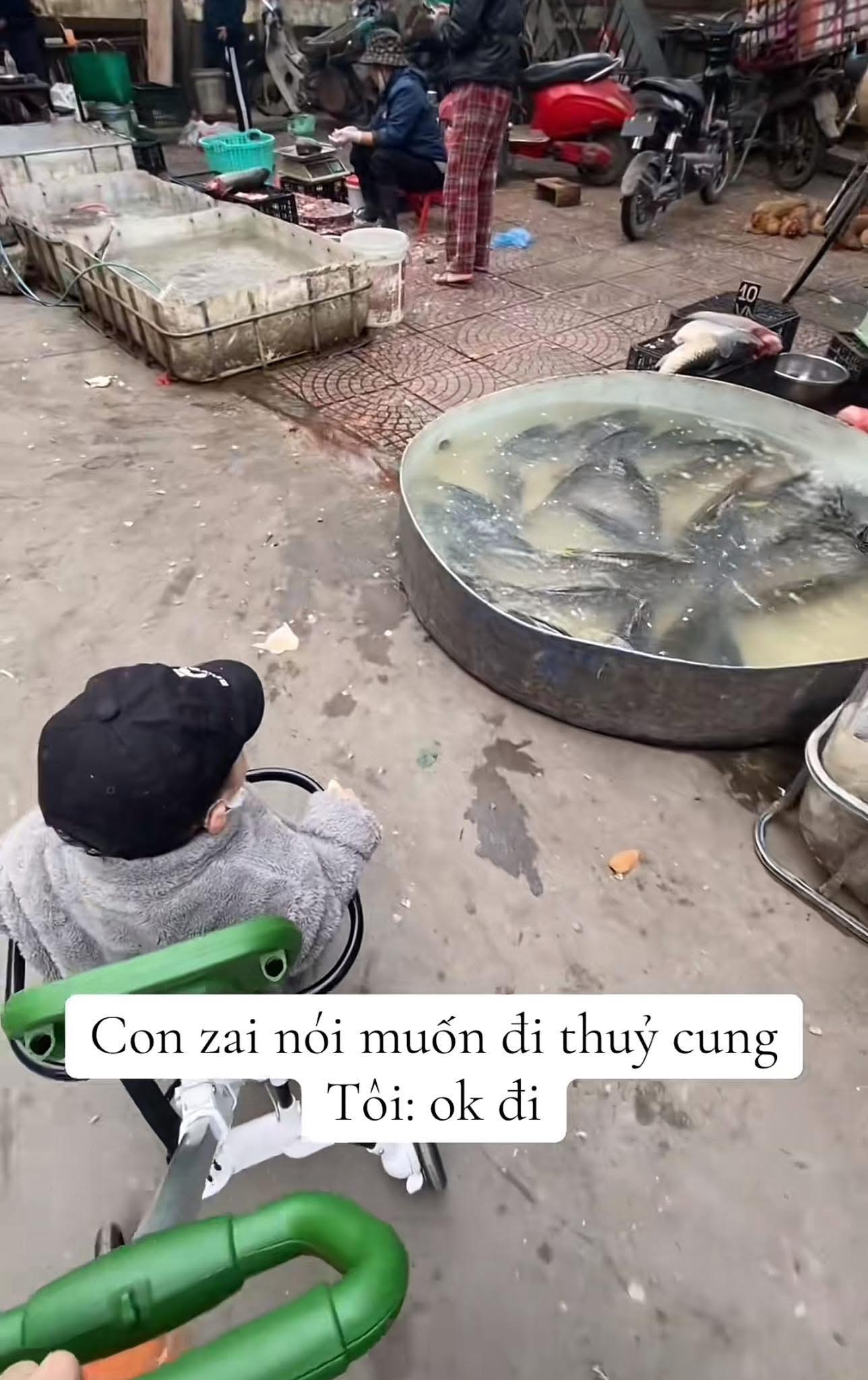 Con muốn đi thủy cung, mẹ đưa đến nơi không ai ngờ, người chê 