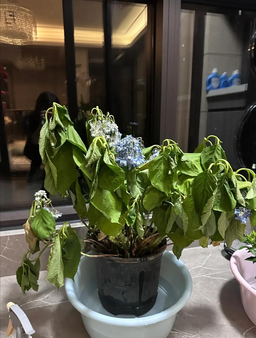 Dù giàu hay nghèo, nếu có 7 thứ này trong nhà bạn cần phải 