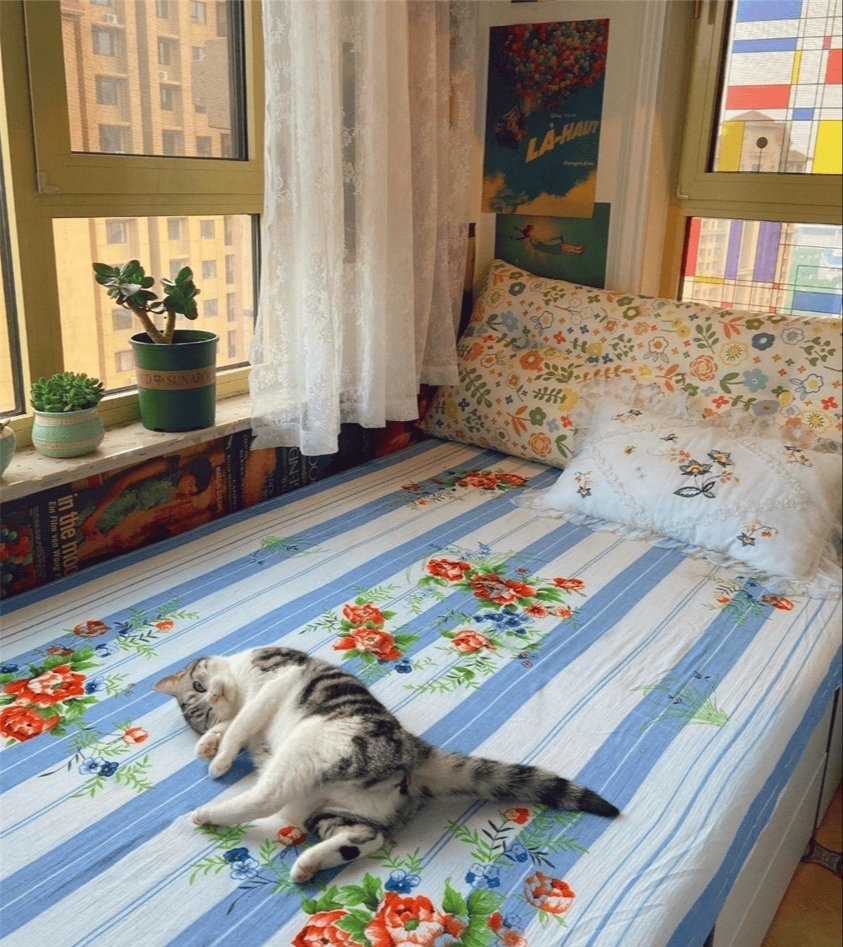 Bức ảnh chiếc giường 