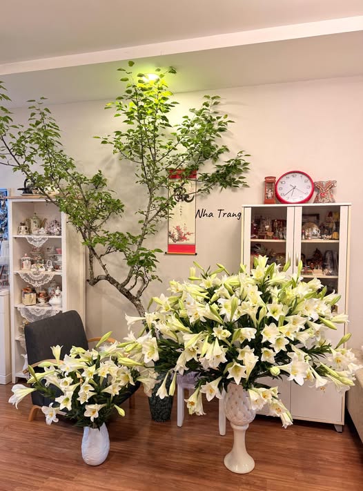 Th&aacute;ng 4 về, chị em rủ nhau khoe b&igrave;nh hoa loa k&egrave;n đẹp rực rỡ, đỉnh nhất vẫn l&agrave; căn nh&agrave; với 2.000 b&ocirc;ng hoa- Ảnh 29.