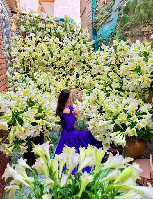 Th&aacute;ng 4 về, chị em rủ nhau khoe b&igrave;nh hoa loa k&egrave;n đẹp rực rỡ, đỉnh nhất vẫn l&agrave; căn nh&agrave; với 2.000 b&ocirc;ng hoa- Ảnh 2.