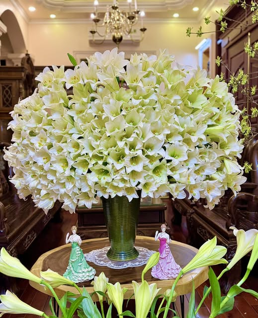 Th&aacute;ng 4 về, chị em rủ nhau khoe b&igrave;nh hoa loa k&egrave;n đẹp rực rỡ, đỉnh nhất vẫn l&agrave; căn nh&agrave; với 2.000 b&ocirc;ng hoa- Ảnh 3.