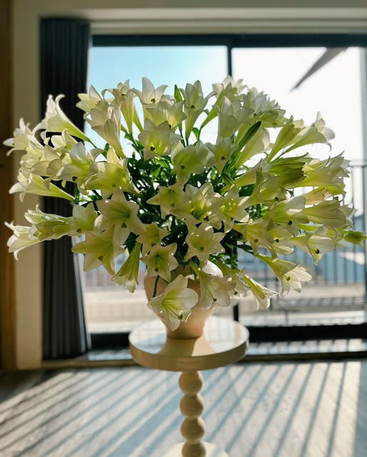 Th&aacute;ng 4 về, chị em rủ nhau khoe b&igrave;nh hoa loa k&egrave;n đẹp rực rỡ, đỉnh nhất vẫn l&agrave; căn nh&agrave; với 2.000 b&ocirc;ng hoa- Ảnh 14.