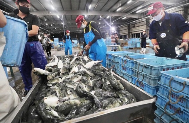Áp thuế 46%: Hơn 37.000 tấn thủy sản Việt Nam đang trên đường sang Mỹ- Ảnh 1. Áp thuế 46%: Hơn 37.000 tấn thủy sản Việt Nam đang trên đường sang Mỹ- Ảnh 1.