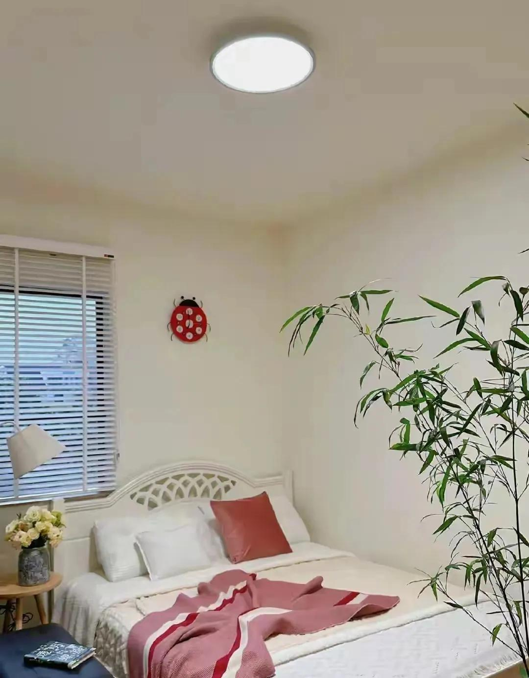Ngôi nhà 150m² của người phụ nữ về hưu sạch đến mức dân mạng phải thốt lên 
