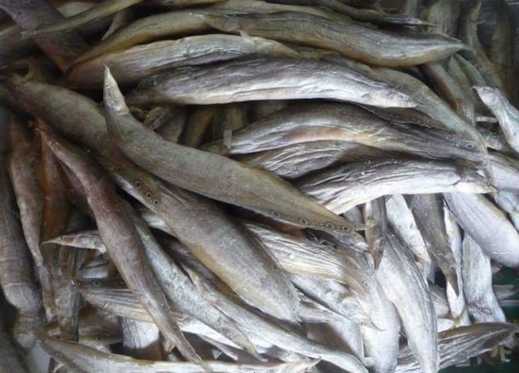Việt Nam có 1 loại cá được ví như Việt Nam có 1 loại cá được ví như