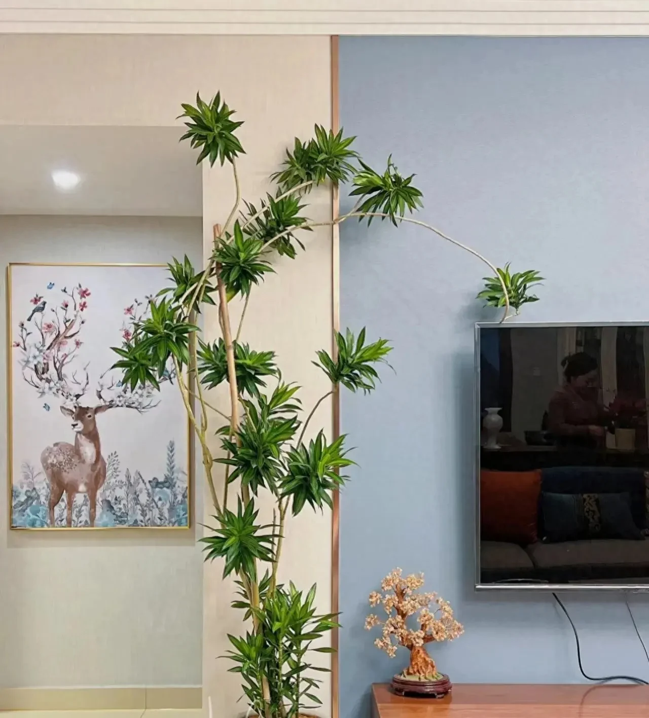 Nhà giàu thường đặt 6 loại cây này để trấn giữ của cải, biến nguy thành an, mở đường cho tài vận- Ảnh 13.