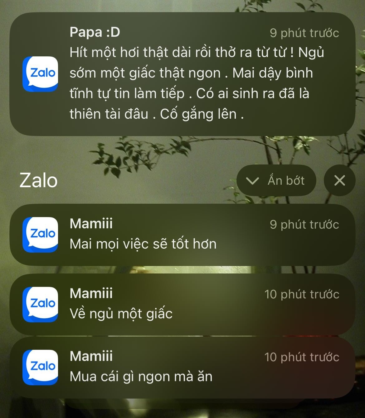 Tin nhắn mẹ gửi lúc 4h sáng khiến cô gái không thể chợp mắt: Hàng loạt câu chuyện thật được kể ra- Ảnh 7.