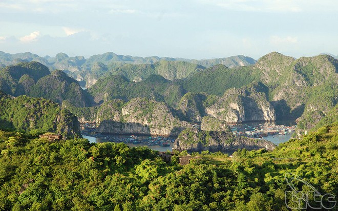 Bãi biển ở Cát Bà được mệnh danh là "thiên đường bí mật", nhiều người bất ngờ vì chưa từng nghe tên- Ảnh 12.