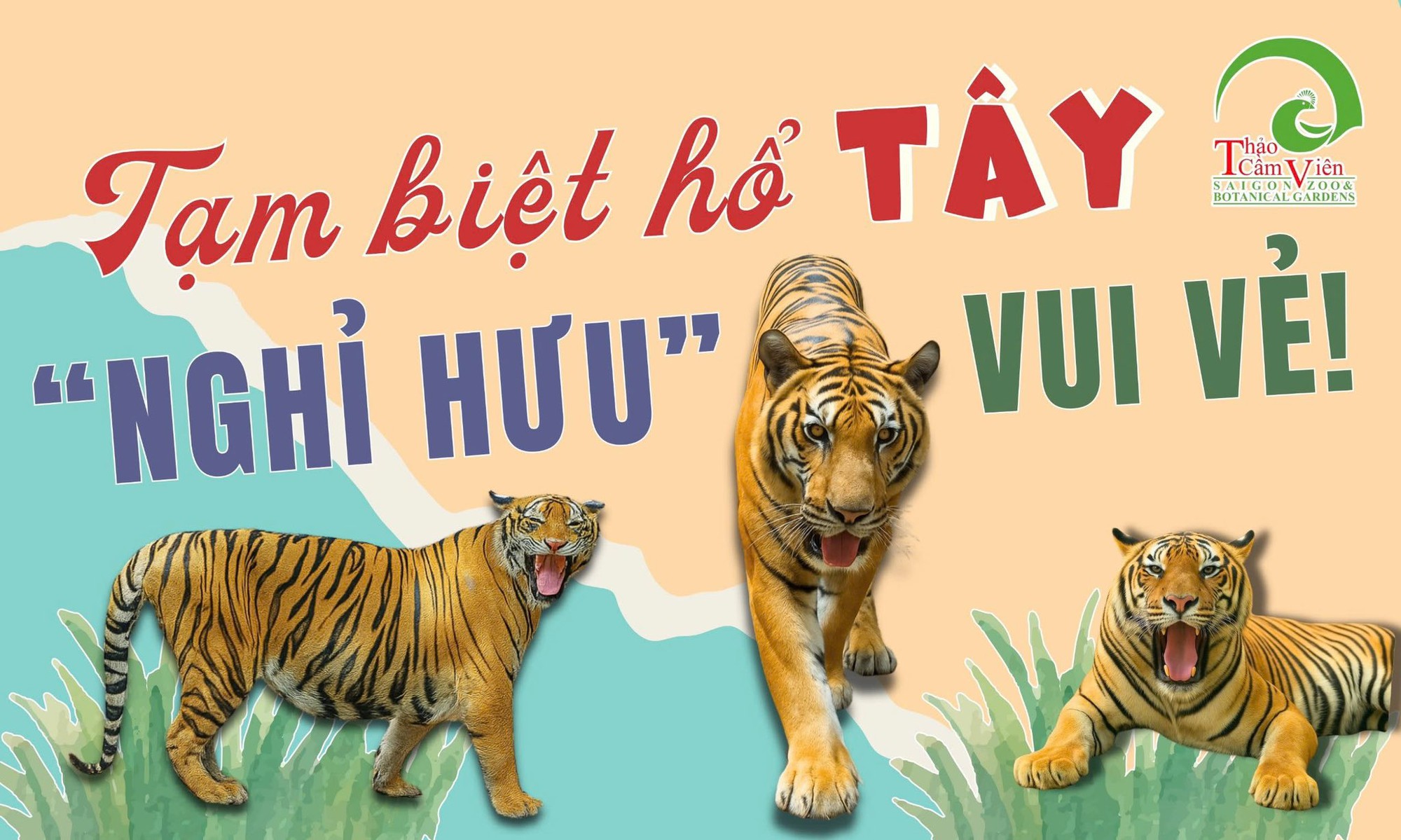 Thảo Cầm Viên bất ngờ thông báo về lần biểu diễn cuối của 1 chú hổ, MXH ngỡ ngàng lo cho 