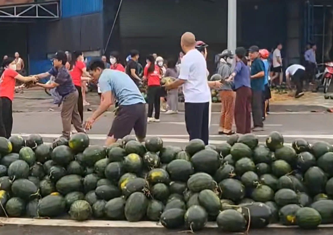 VIDEO: Người dân xếp hàng thu gom, “giải cứu” dưa hấu khi xe tải gặp nạn- Ảnh 1.