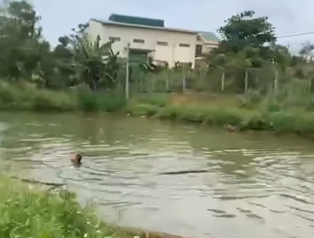 Hai cháu nhỏ chết đuối thương tâm dưới hồ nước tưới cà phê- Ảnh 1. Hai cháu nhỏ chết đuối thương tâm dưới hồ nước tưới cà phê- Ảnh 1.