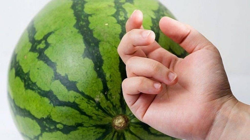 Chỉ mất 5 giây để mua dưa hấu ngon và không bị người bán hàng qua mặt- Ảnh 6.