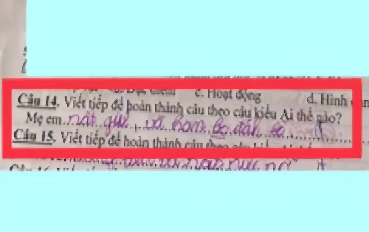 Bài tiếng Việt yêu cầu tả "Ai thế nào", học sinh tiểu học bốc trúng đề về "Mẹ" liền ngoáy vài chữ khiến phụ huynh sốc: Con với cái!- Ảnh 1.