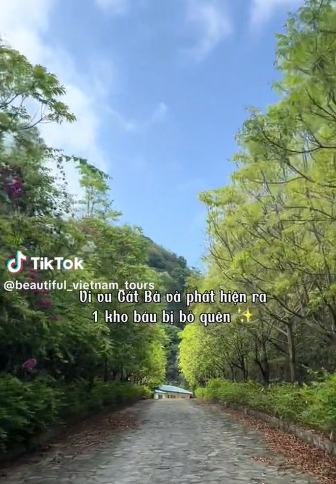 Bãi biển ở Cát Bà được mệnh danh là "thiên đường bí mật", nhiều người bất ngờ vì chưa từng nghe tên- Ảnh 2.