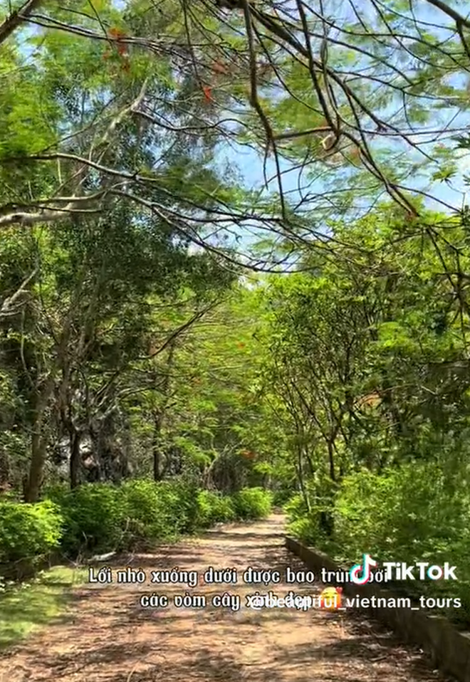 Bãi biển ở Cát Bà được mệnh danh là "thiên đường bí mật", nhiều người bất ngờ vì chưa từng nghe tên- Ảnh 3.