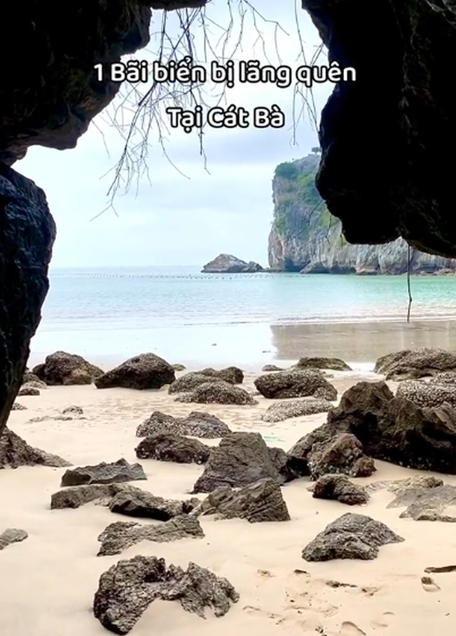 Bãi biển ở Cát Bà được mệnh danh là "thiên đường bí mật", nhiều người bất ngờ vì chưa từng nghe tên- Ảnh 5.