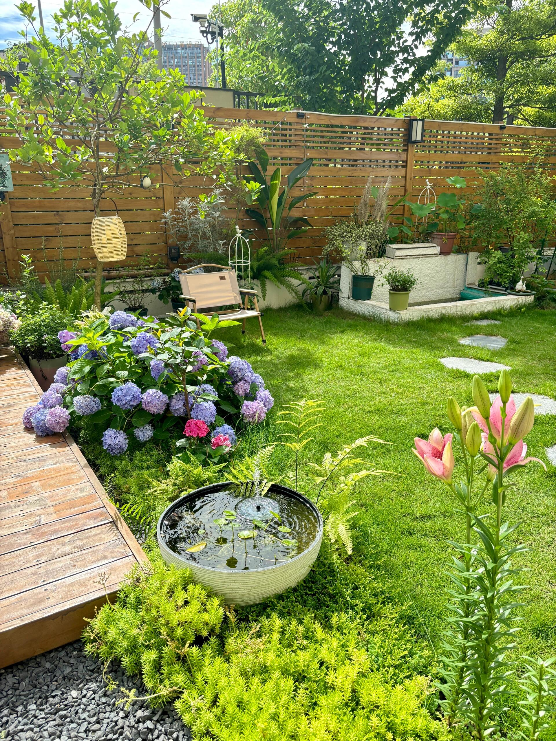 Phụ nữ trung niên 45 tuổi và giấc mơ sân vườn giữa lòng phố: Tự tay cải tạo mảnh sân 70m², sống chậm, sống xanh mỗi ngày- Ảnh 6.