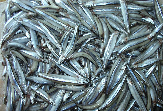 Loại cá Loại cá