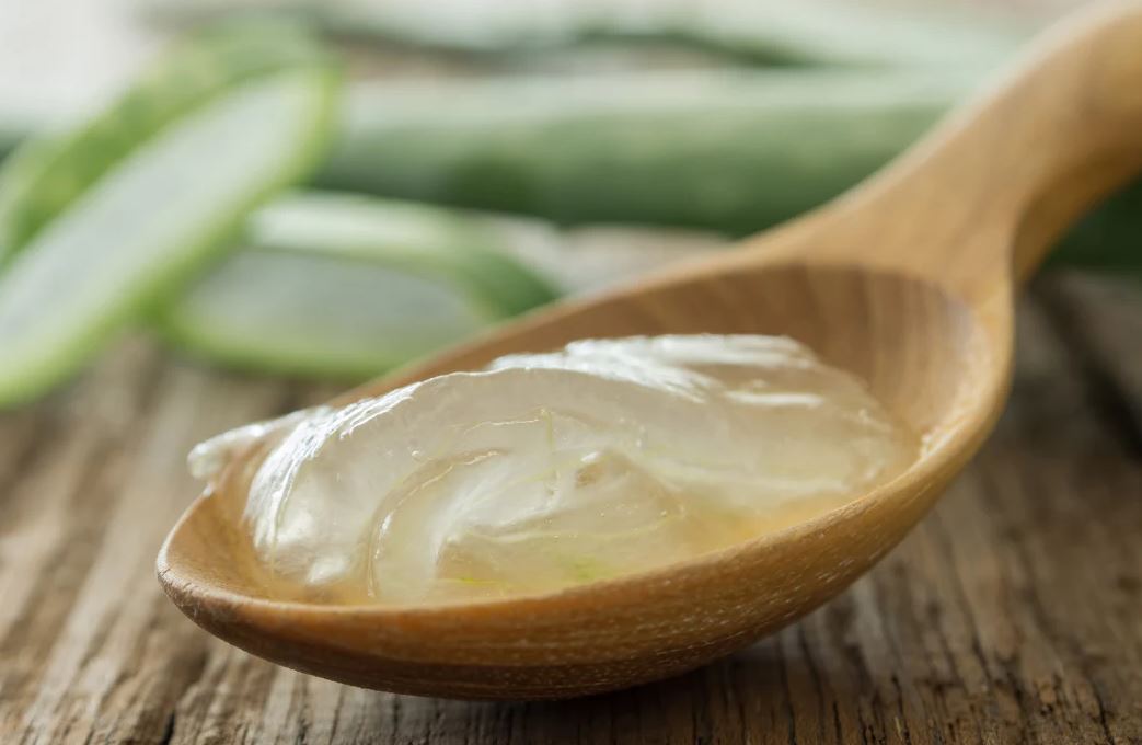Việt Nam có loại cây chống rụng tóc, phục hồi hư tổn cực tốt: Biết dùng còn 'đánh bay' mỡ máu, tiểu đường- Ảnh 2. Việt Nam có loại cây chống rụng tóc, phục hồi hư tổn cực tốt: Biết dùng còn 'đánh bay' mỡ máu, tiểu đường- Ảnh 2.