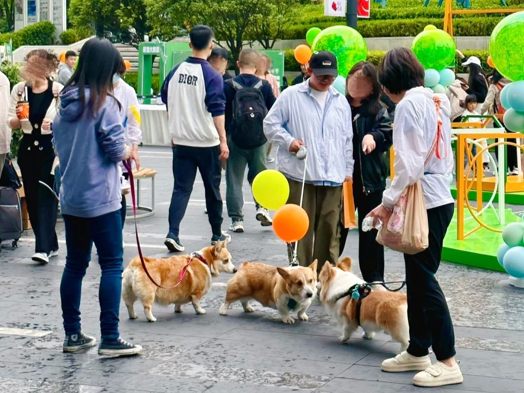 Siêu thị, khách sạn dành riêng cho thú cưng nở rộ- Ảnh 1.