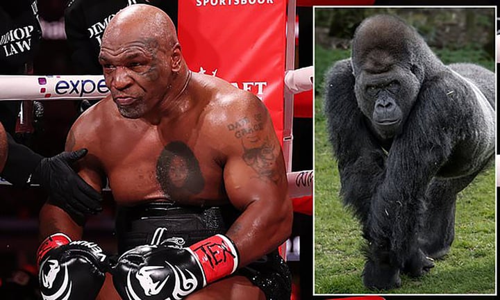 Giới võ thuật 'dậy sóng' vì 1 câu hỏi, Mike Tyson tuyên bố hùng hồn- Ảnh 1.