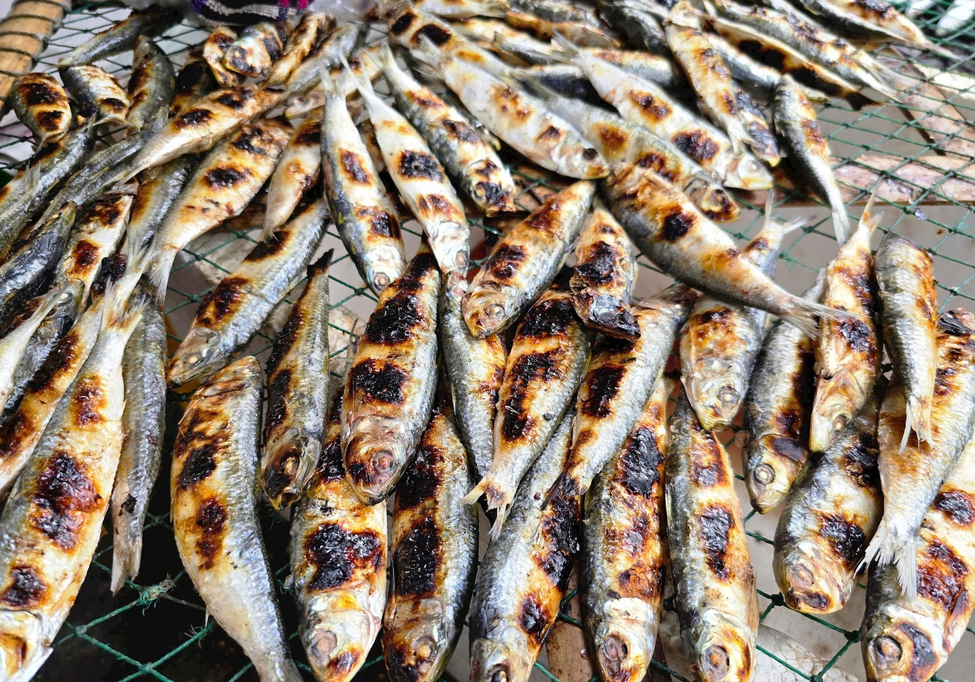 3 loại cá 