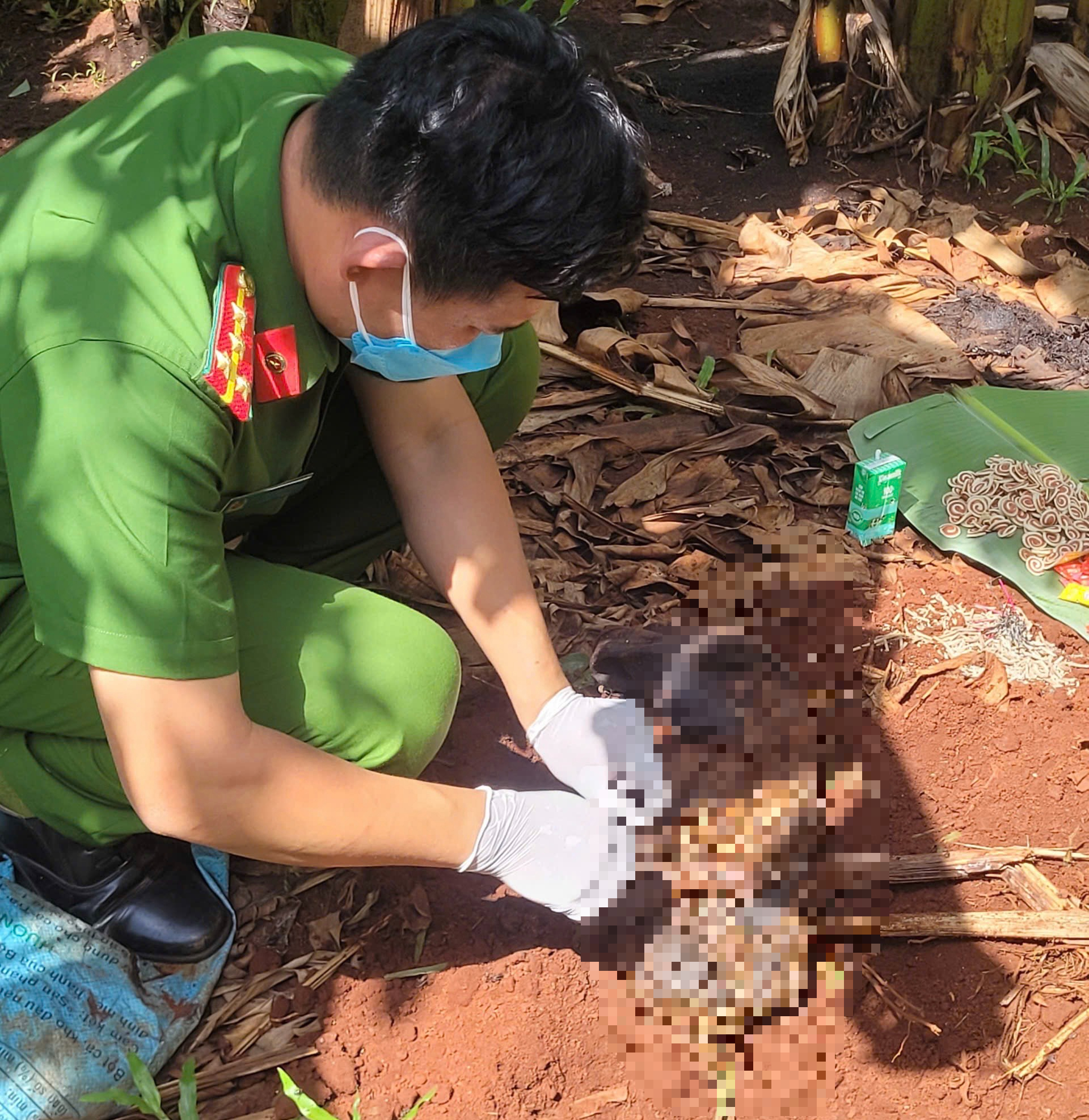 Phát hiện thi thể trẻ sơ sinh trong khu vườn ở Bà Rịa - Vũng Tàu- Ảnh 2.