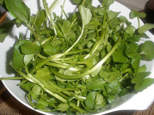 Việt Nam có loại rau chống ung thư tốt nhất thế giới, tốt cho sức khỏe tim mạch và xương khớp- Ảnh 1. Việt Nam có loại rau chống ung thư tốt nhất thế giới, tốt cho sức khỏe tim mạch và xương khớp- Ảnh 1.