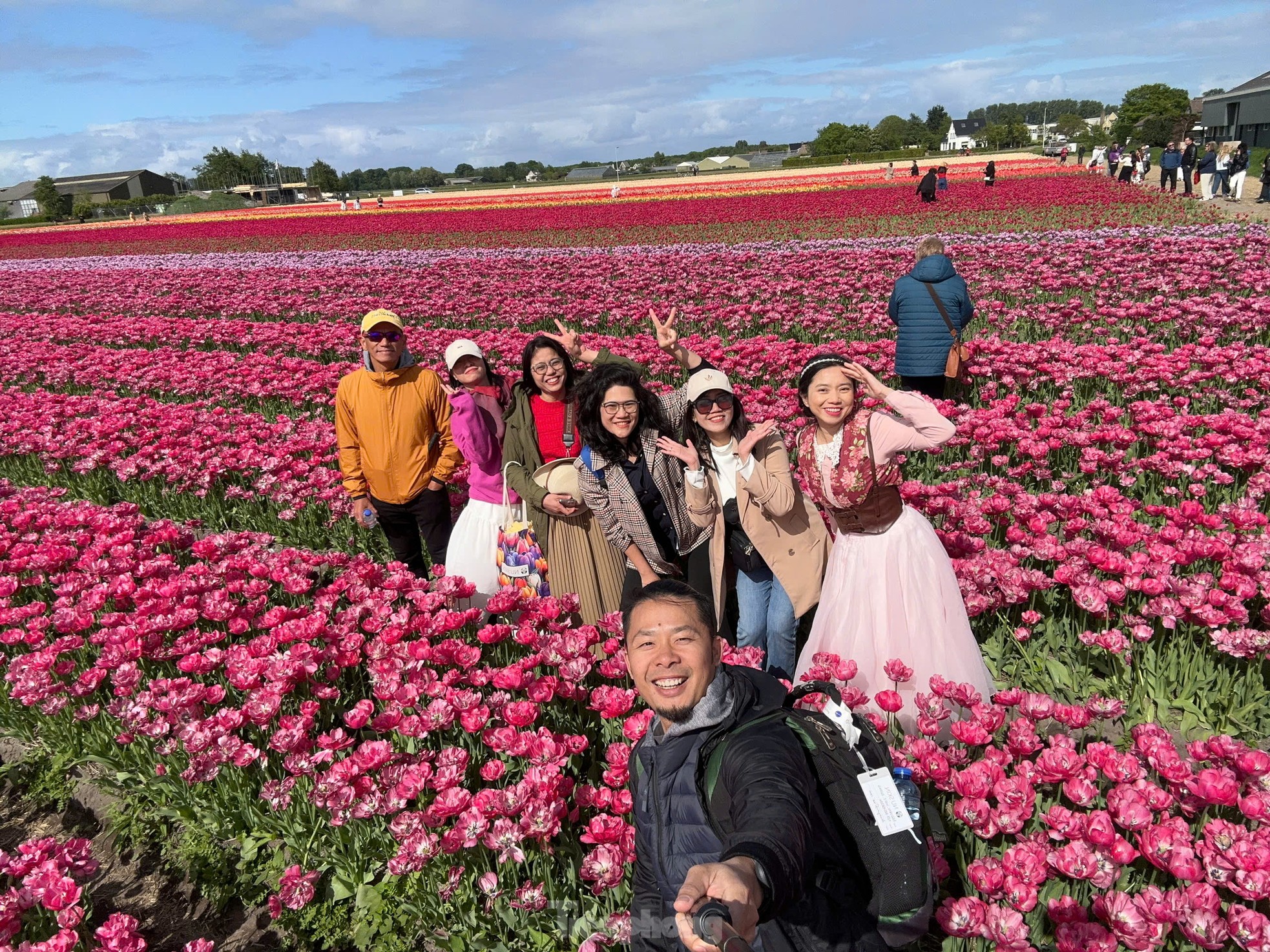Người Việt lạc lối giữa cánh đồng hoa tulip như cổ tích ở Hà Lan- Ảnh 19.