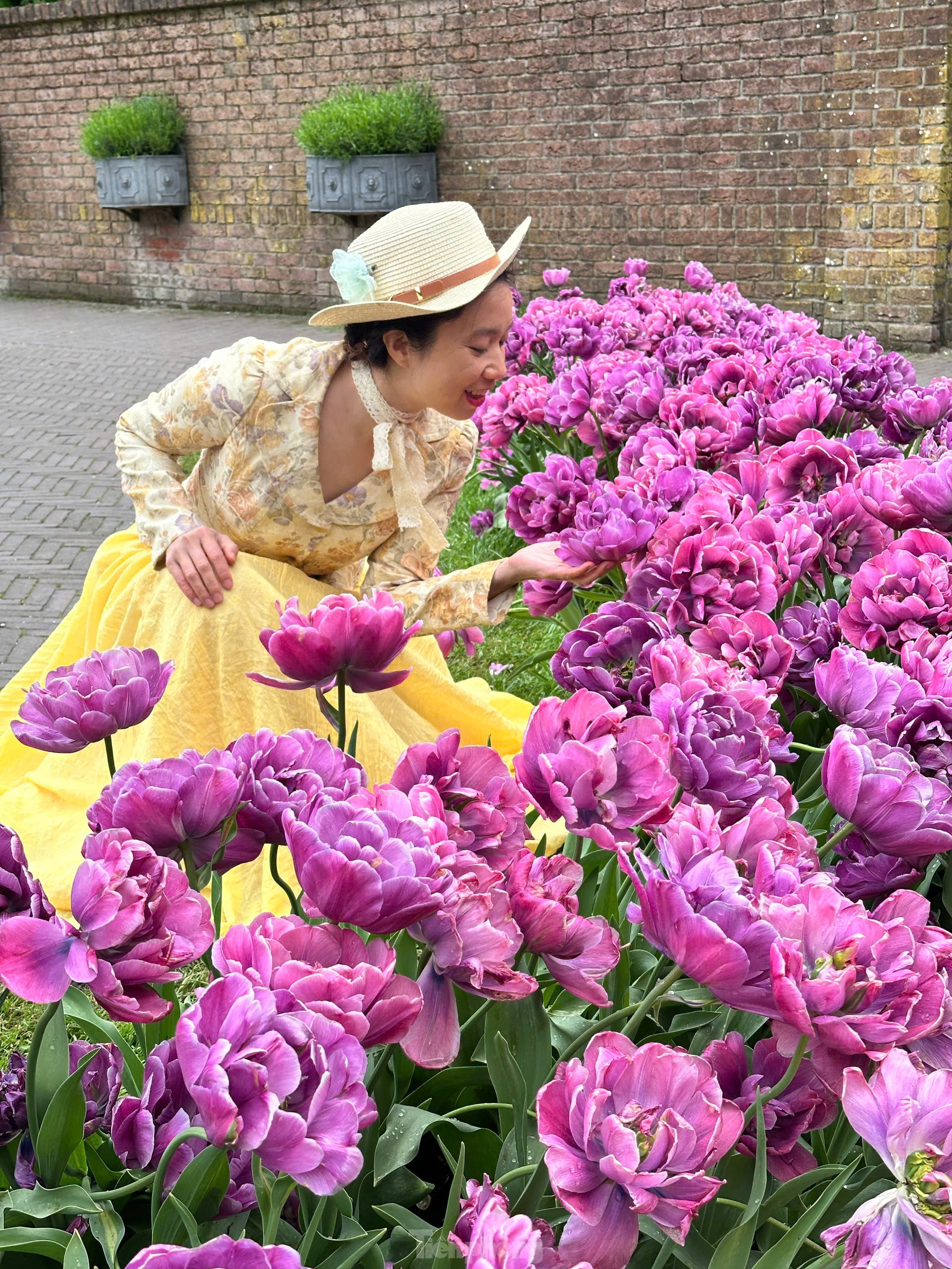 Người Việt lạc lối giữa cánh đồng hoa tulip như cổ tích ở Hà Lan- Ảnh 16.