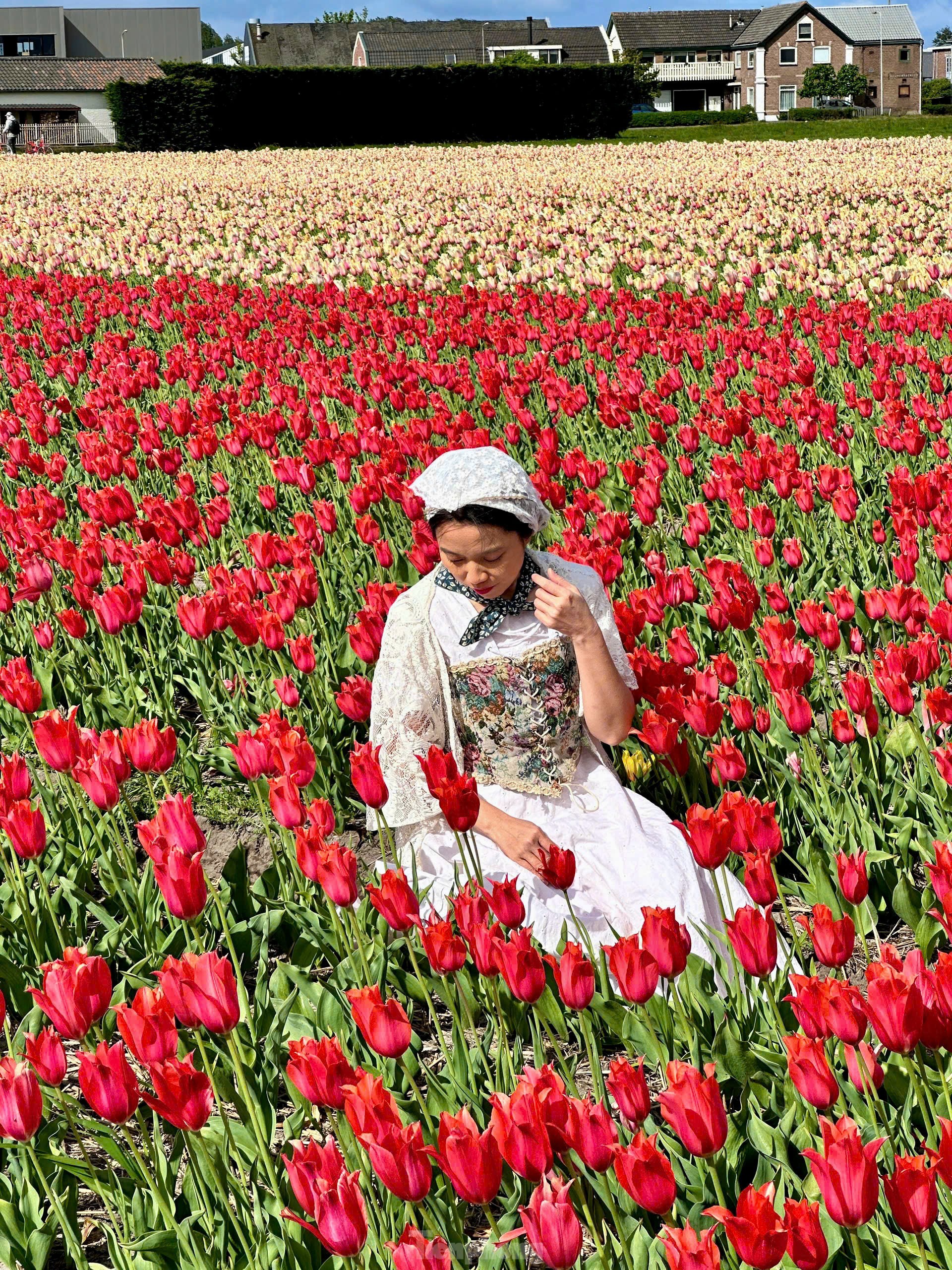 Người Việt lạc lối giữa cánh đồng hoa tulip như cổ tích ở Hà Lan- Ảnh 15.