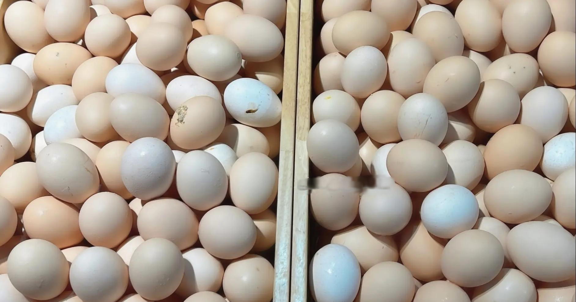 Mua trứng gà: Chọn quả to hay nhỏ? Người chăn nuôi tiết lộ bí mật, đừng ai mua sai nữa!- Ảnh 4.