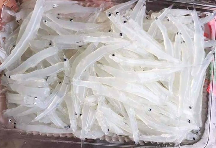 Cá ngần sông Đà làm những món gì ngon?- Ảnh 1.