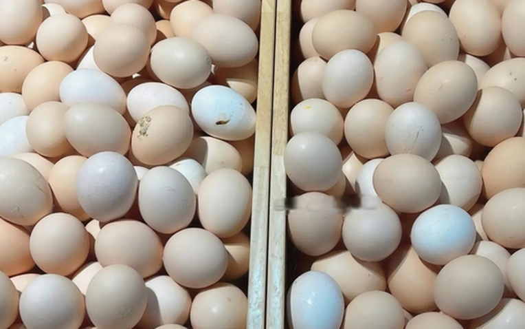 Mua trứng gà: Chọn quả to hay nhỏ? Người chăn nuôi tiết lộ bí mật, đừng ai mua sai nữa!- Ảnh 1.