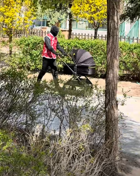 Xuất hiện vật thể toàn thân đen thui đẩy xe em bé trên phố: Không phải con người?- Ảnh 6.